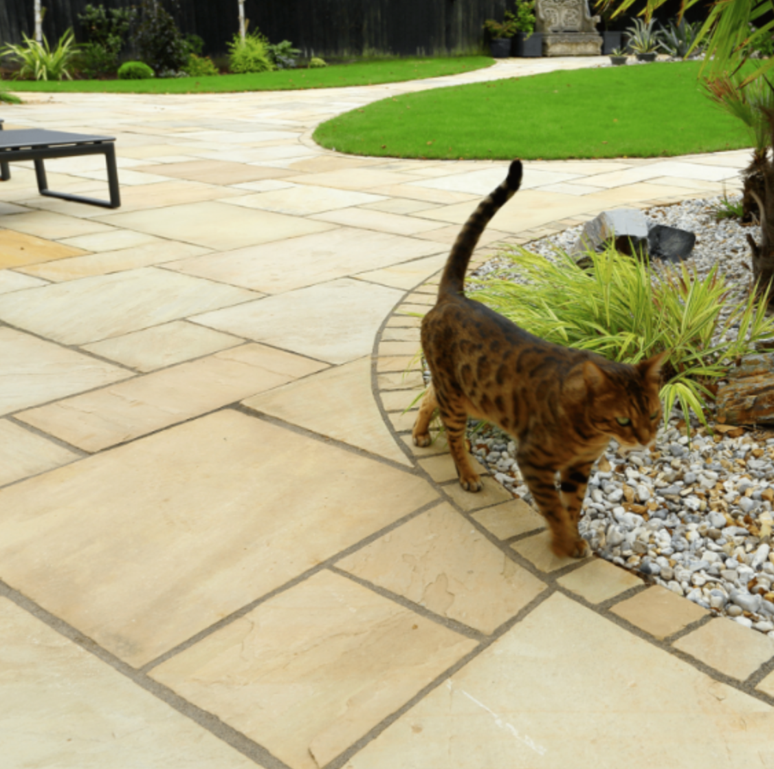Natural Bradstone with cat