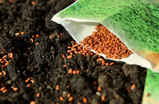 sowing seeds in soil